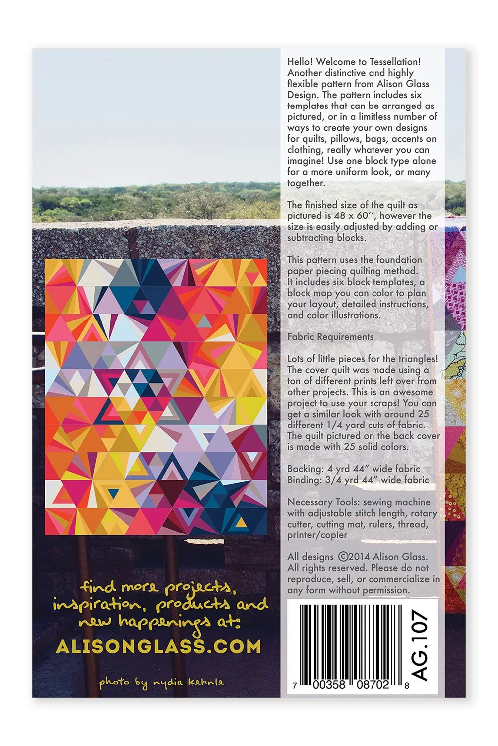 Alison Glass Tessellation Quilt