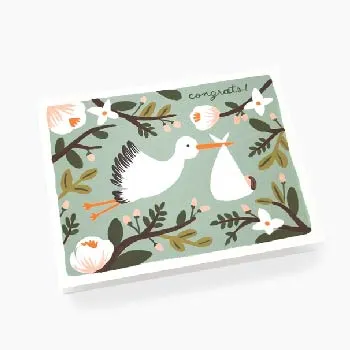 Congrats Stork Card