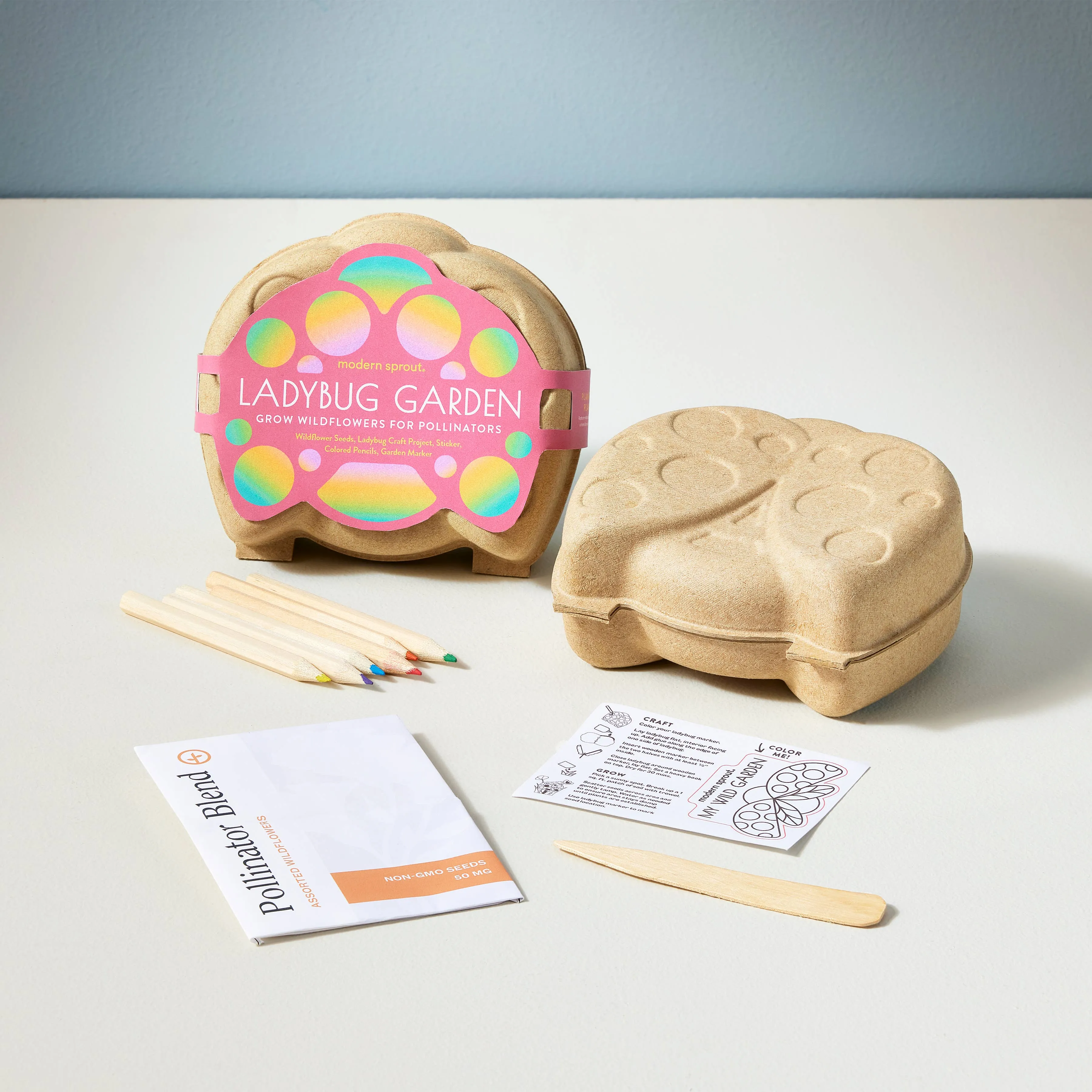 Curious Critters Ladybug Activity Kit
