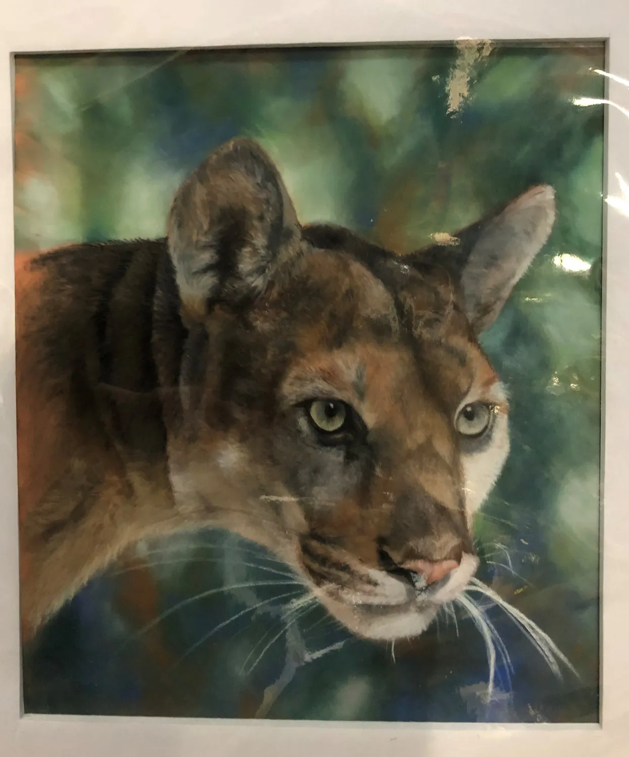 Original Pastel by Elaine Reaume, Signed on acid free paper:The Endangered Eastern Cougar