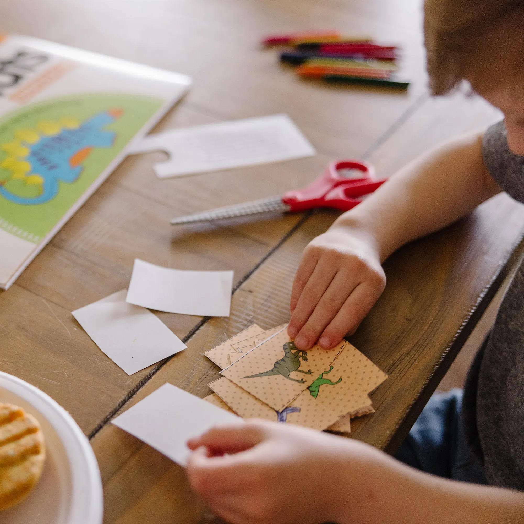 Playmats – Dinosaurs
