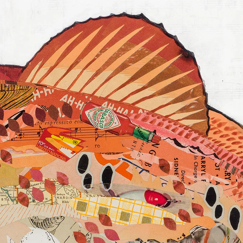 REDFISH original paper collage