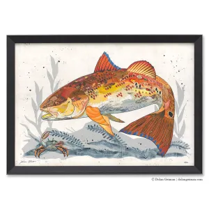 REDFISH original paper collage