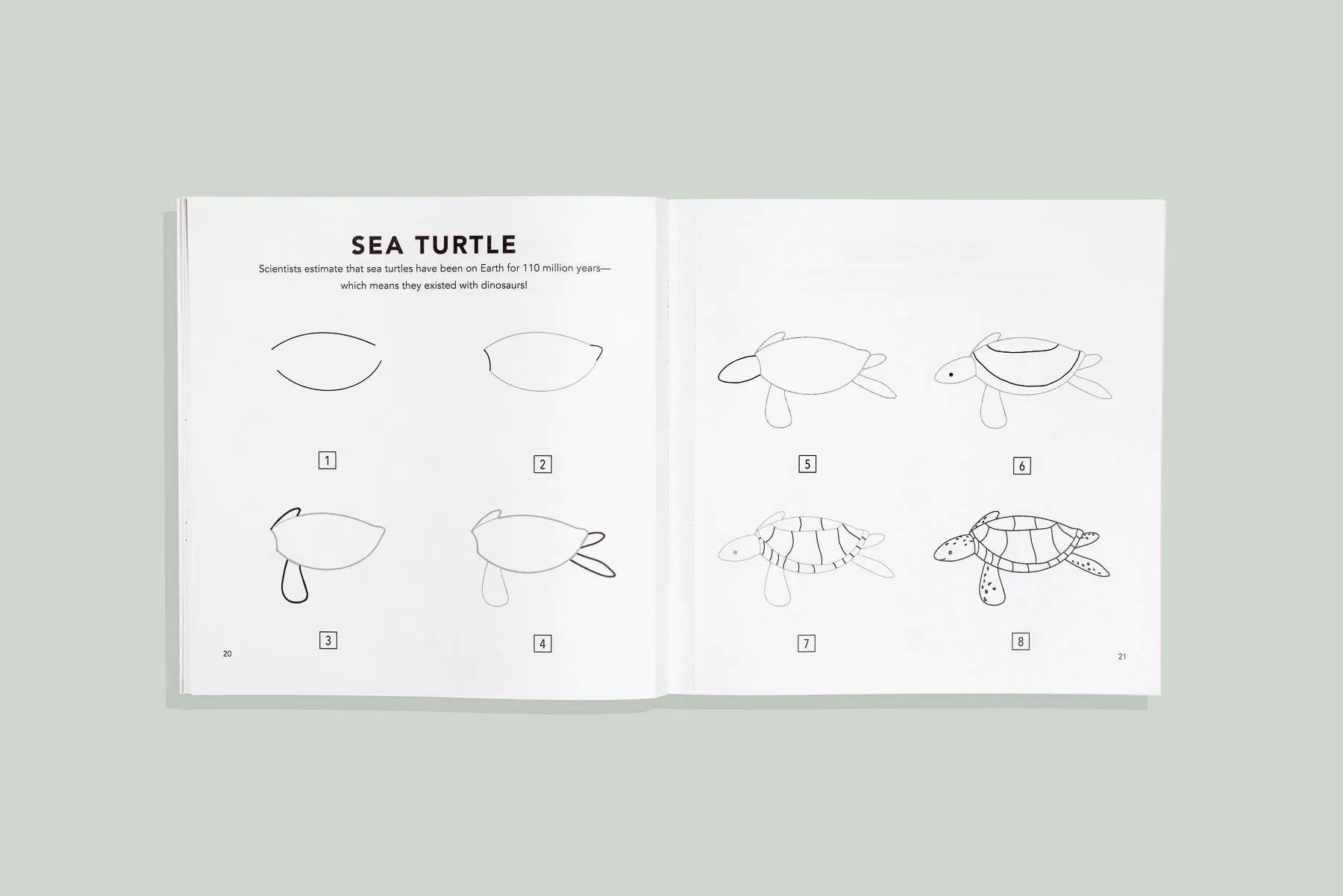 Under the Sea: A How to Draw Art Book for Kids